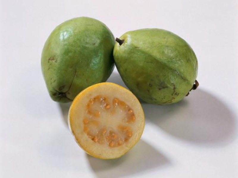 Zašto je Guava tako dobra