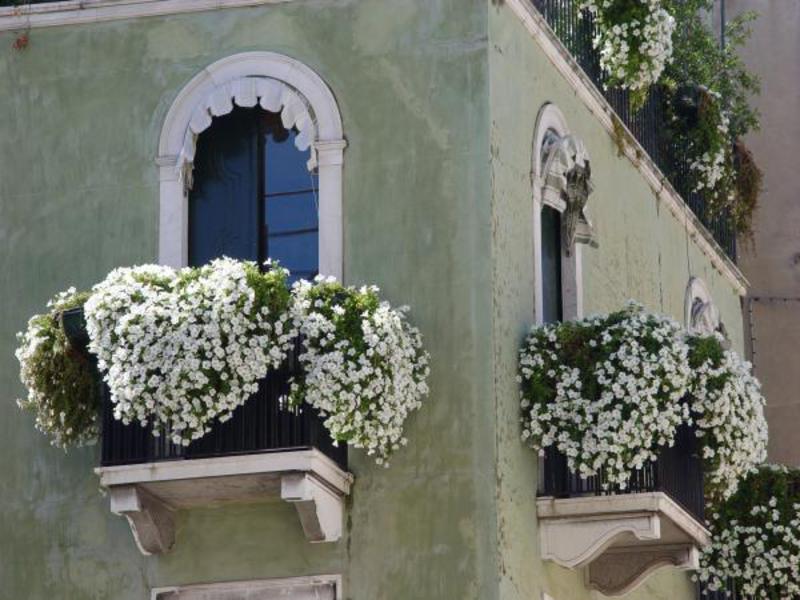 Аранжировки с цветя на балкона