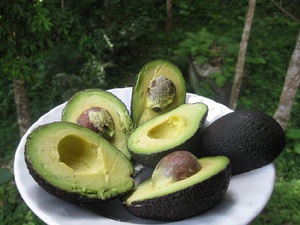 Списък на полезните свойства на плодовете от авокадо