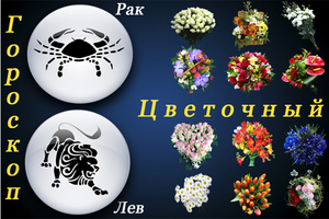 Цветен хороскоп: цвете по зодия и дата на раждане