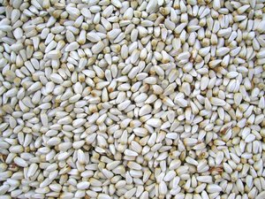 Семената на шафран са подходящи за храна за домашни птици.