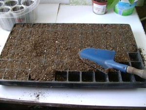 Описание на метода за подготовка на почвата за сеитба на семена от петуния
