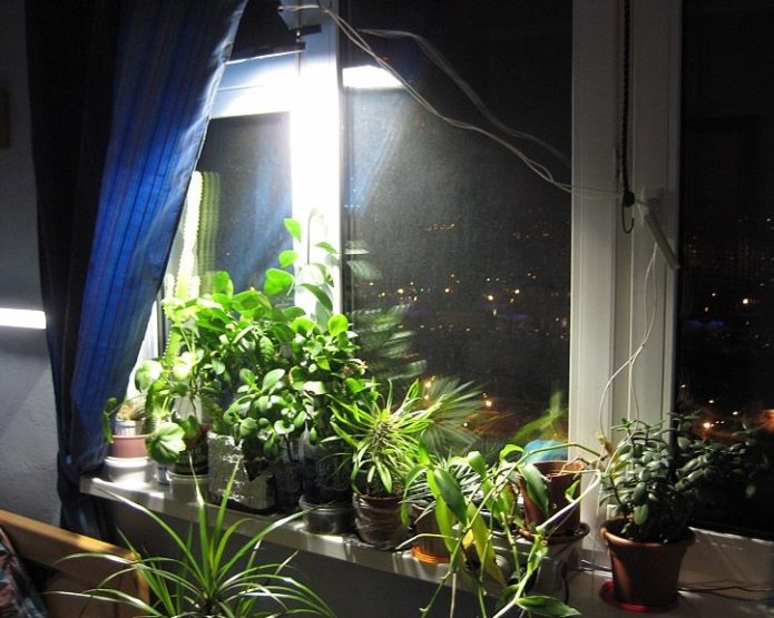Използване на изкуствено осветление за отглеждане на растения