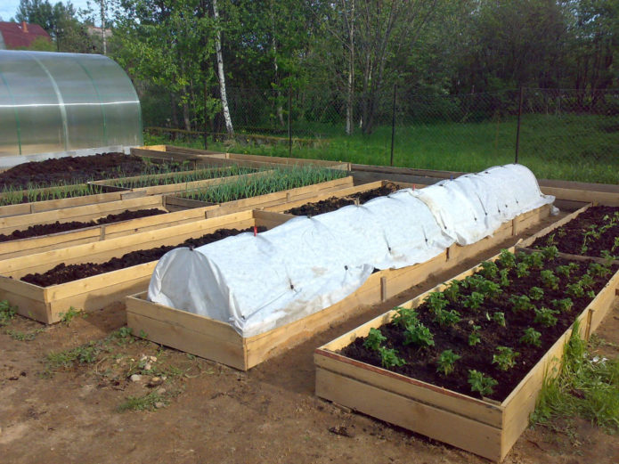 Дървени легла-кутии за зеленчуци